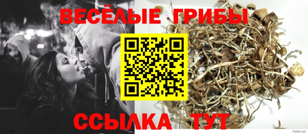сколько стоит  Псилоцибиновые грибы прущие грибы  Вход с VPN  Сарапул 